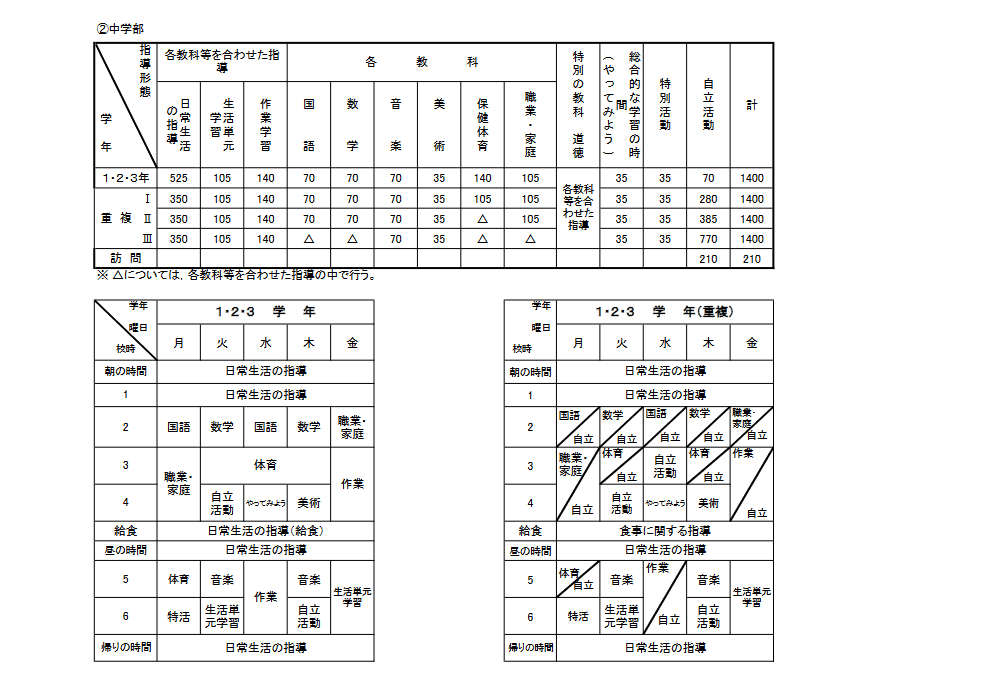 教育課程（中）